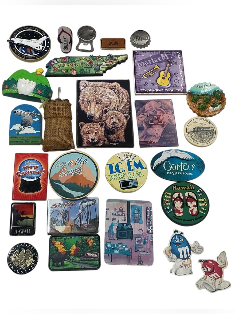 25pc Souvenir Refrigerator Magnet Lot Travel Tourist Tennessee Hawaii NASA Smoky